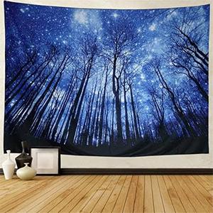 Frontpage: Blue Forest