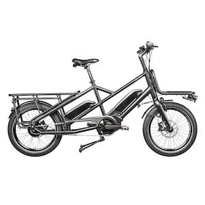 Specialty Folding Electric Bikes: Gepida Cargo City E-Bike