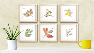 Products: NZ Native Plant Prints Kumanu, earth conscious skincare