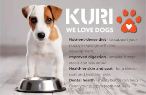 Products: Is Raw Dog Food Safe for Puppies? A Comprehensive Guide for Pet Parents