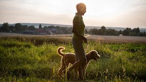 Products: The Danger of Barley Grass Seeds for Dogs: What Every Dog Owner Should Know