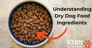 Products: Understanding Dry Dog Food Ingredients: A Guide to Choosing the Best Dog Food