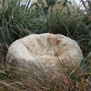 Sheepskin Bean Bags And Ottomans: New Zealand Longwool Sheepskin Bean Bag (Filled) - Nappa
