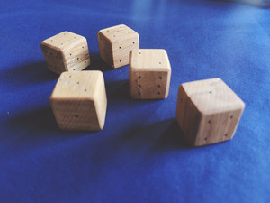 Products: Wooden Dice Kea Resilience Proje