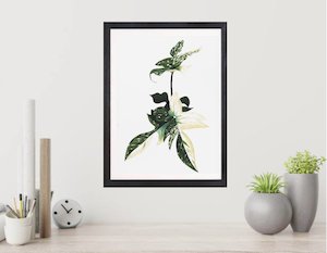 Florida Ghost Botanical Print