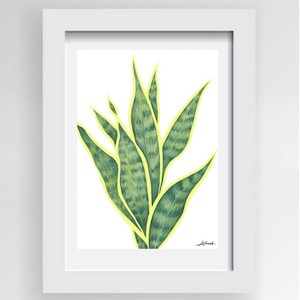 Gift Ideas Under $50 NZ Made Ladybugs Marketplace: Botanical Print Snake Plant