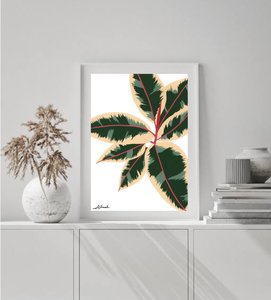 Gift Ideas Under $50 NZ Made Ladybugs Marketplace: Ficus Ruby Print