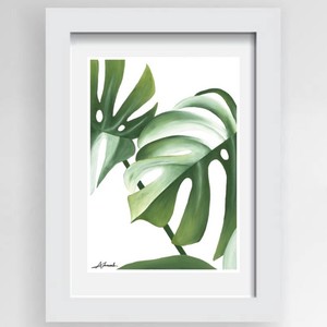 Monstera Print