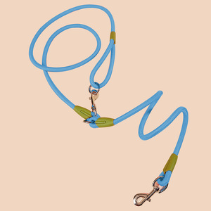 Dog Supplies NZ Made Ladybugs Marketplace: Blue Multifunctional Pet Leash