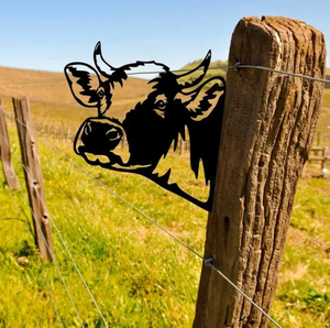 Peek a Boo Cow Made