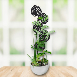 Plant Stake Monstera Made