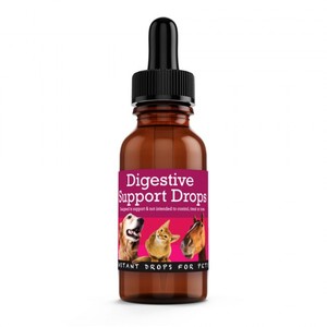 Cat Supplies NZ Made Ladybugs Marketplace: Pets Digestive Support Drops