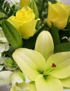 Products: Sympathy - La Fleur
