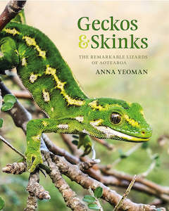 Our Environment: Geckos & Skinks: The remarkable lizards of Aotearoa