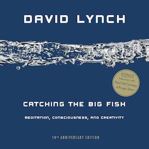 Writing Guides And Creativity: Catching the Big Fish Meditation, Consciousness, and Creativity