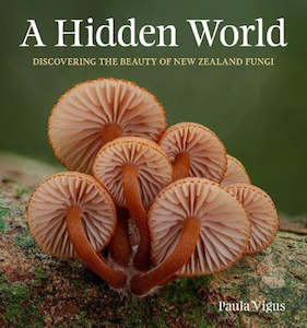A Hidden World: Discovering the beauty of New Zealand fungi