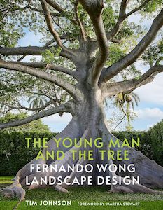Landscape Architecture And Urban Planning: The Young Man and the Tree: Fernando Wong Landscape Design