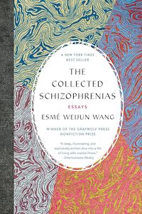Brains And Well Being: The Collected Schizophrenias: Essays