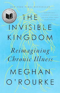 Medicine And Drugs: The Invisible Kingdom Reimagining Chronic Illness