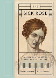 Medicine And Drugs: The Sick Rose Disease and the Art of Medical Illustration