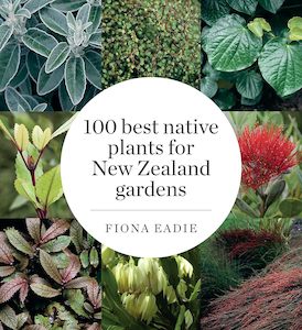 Special Orders: 100 Best Native Plants for New Zealand Gardens