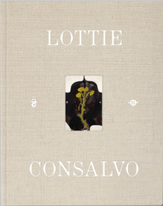 Lottie Consalvo: We hover above the ground in hope that we might float
