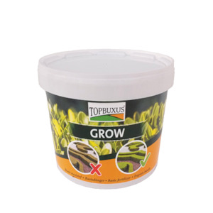 Topbuxus Grow