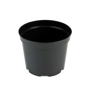 Pots: IPP Round Pots
