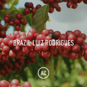 Full Size Bags: Brazil Luiz Rodrigues Double Fermentation 30kg