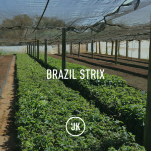 Full Size Bags Uk: Brazil Strix 15/18 Natutal 60kg GP