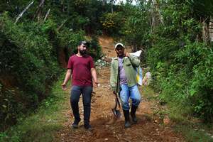 Origins: Brazil - the powerhouse of global coffee production