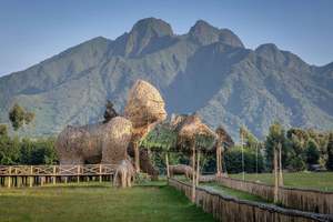 Origins: Rwanda - where coffee culture is deeply intertwined with history