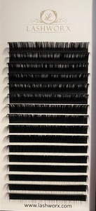 D Curl .07 lash trays ⋆ Lashworx