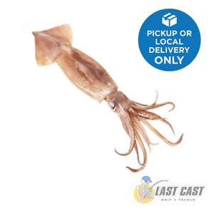 ADDICTION OUTDOORS - BIG ARROW SQUID XL BAIT BAG 5KG