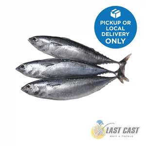 Bait: ADDICTION OUTDOORS - BULLET TUNA BAIT BAG/BOX FROZEN