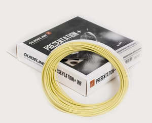 Guideline Presentation+ WF