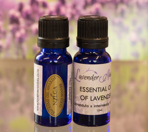 Products: Lavender Pure Essential Oil - 'Grosso' Lavender Abbey