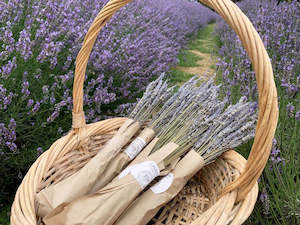 Flower Arrangement: Lavender Dried Flowers - Lavandula x Intermedia (Super)