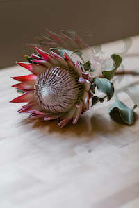 Flower Arrangement: Stunning Protea Flower Arrangement