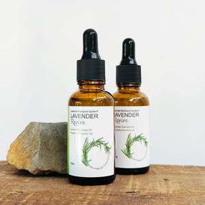 French Lavender: Lavender Rosemary Scalp Serum