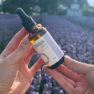 French Lavender: Lavender Hair Oil