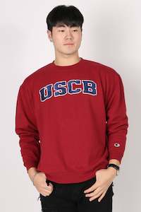 Mens Sweatshirt: Vintage UCSB Crewneck XL