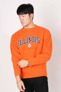 Mens Sweatshirt: Vintage University of Illinois Fighting Illini Crewneck L