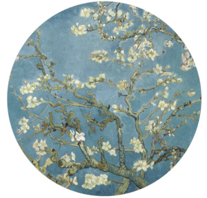 Circle Wallpaper Murals: Almond Blossom Circle Wallpaper
