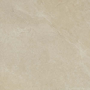 Wall Tiles: Magic Stone Gecko 60x60