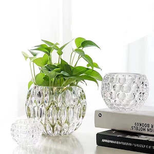 Dadu Crystal Glass Embossed Mini Vase/Plant Pot