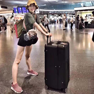 Travel Luggage