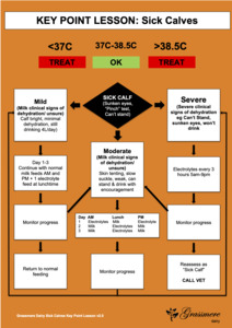 Products: Sick Calf Process Chart