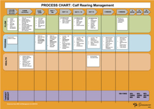 Products: Calf rearing flow process chart