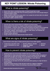 Products: Nitrate Poisoning Key Point Lesson
